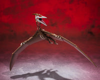 BANDAI S.H. MonsterArts: Godzilla Singular Point - Rodan (2021) The Second Form