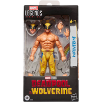 Hasbro / Marvel Legends: Deadpool & Wolverine - Wolverine