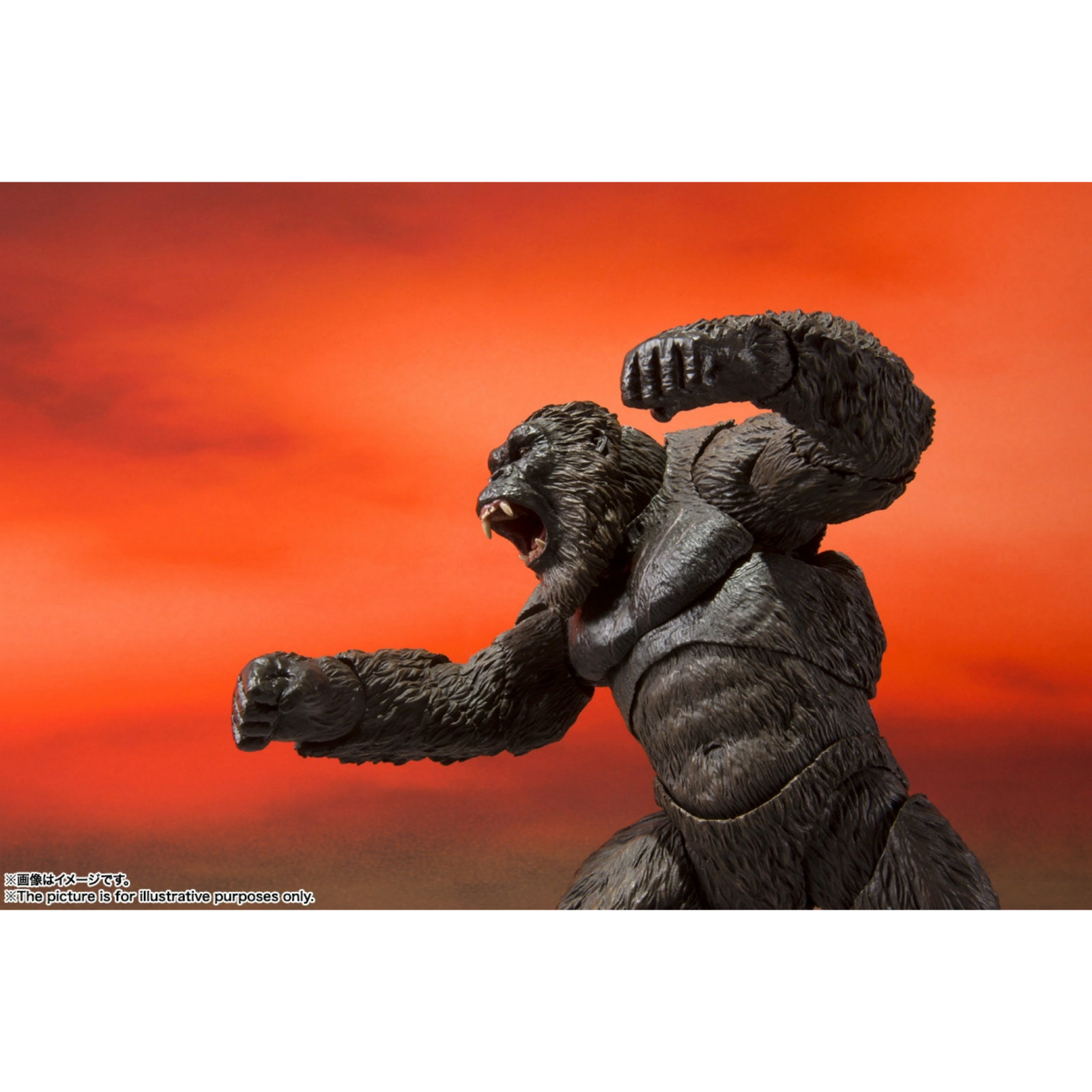 BANDAI S.H. MonsterArts: Godzilla Vs. Kong - Kong From Godzilla Vs. Kong (2021)
