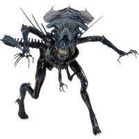 NECA Prop Replica: Aliens - Alien Queen Deluxe