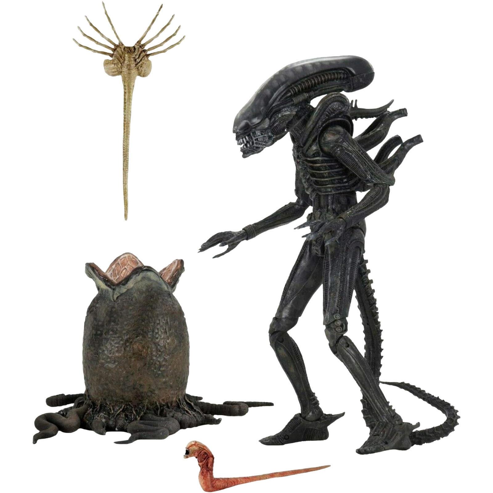 NECA Ultimate: The Alien - Alien “Big Chap” 40th Anniversary