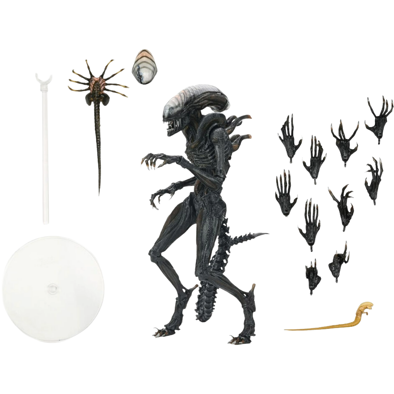 NECA Ultimate: Alien Romulus - Scorched Xenomorph