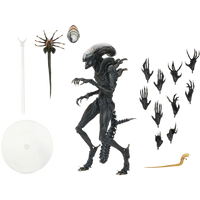 NECA Ultimate: Alien Romulus - Scorched Xenomorph