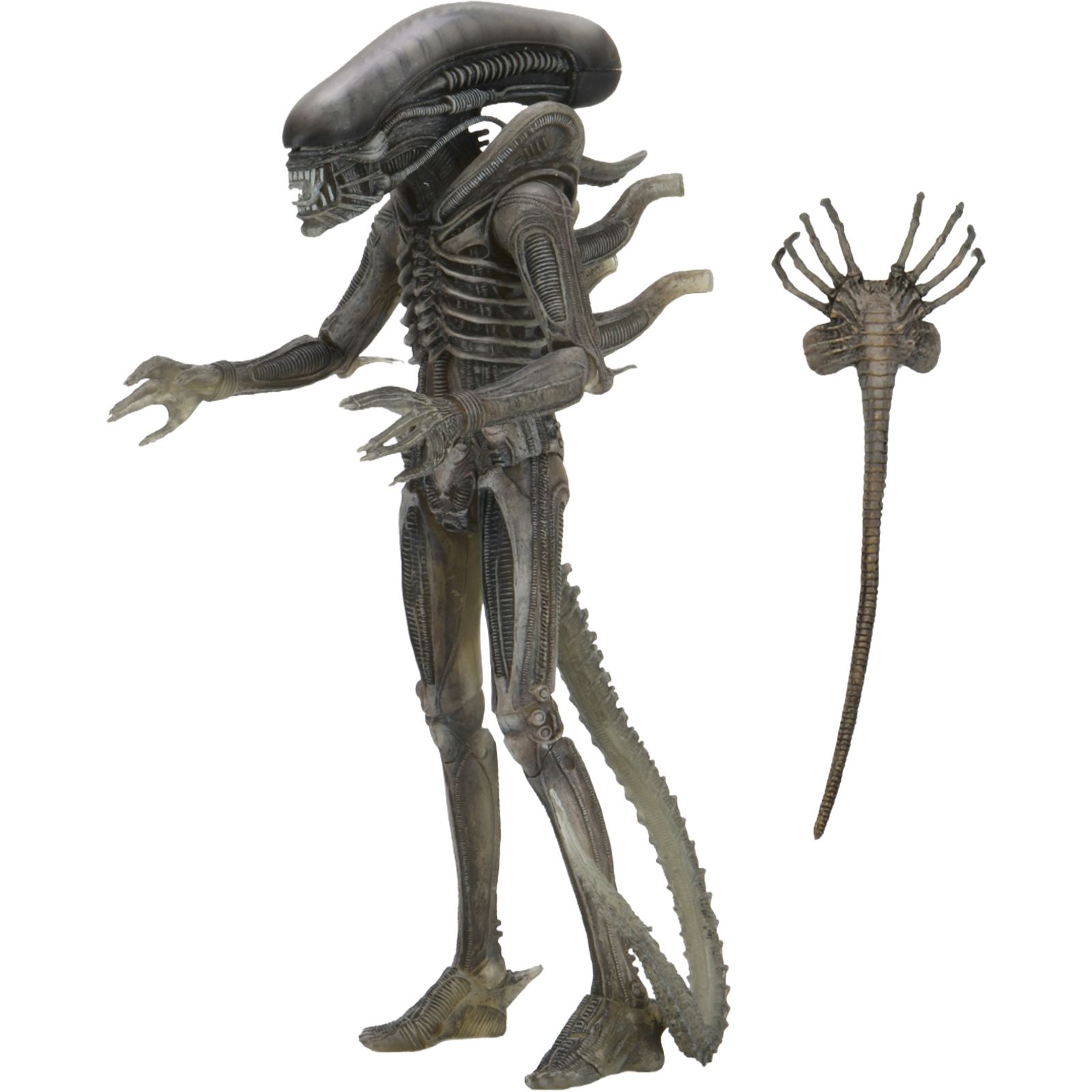 NECA Ultimate: Alien - The Alien