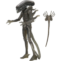 NECA Ultimate: Alien - The Alien