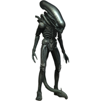 NECA Ultimate: Alien - The Alien