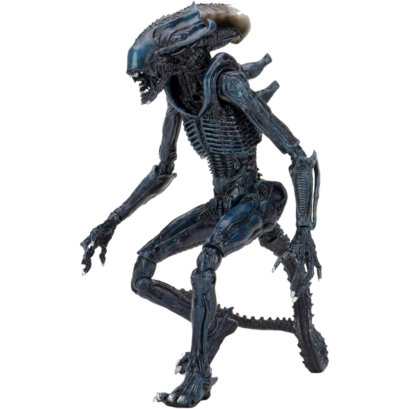 NECA Ultimate: Aliens - Arachnoid Alien