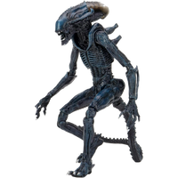 NECA Ultimate: Aliens - Arachnoid Alien