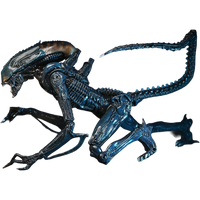 NECA Ultimate: Aliens - Arachnoid Alien