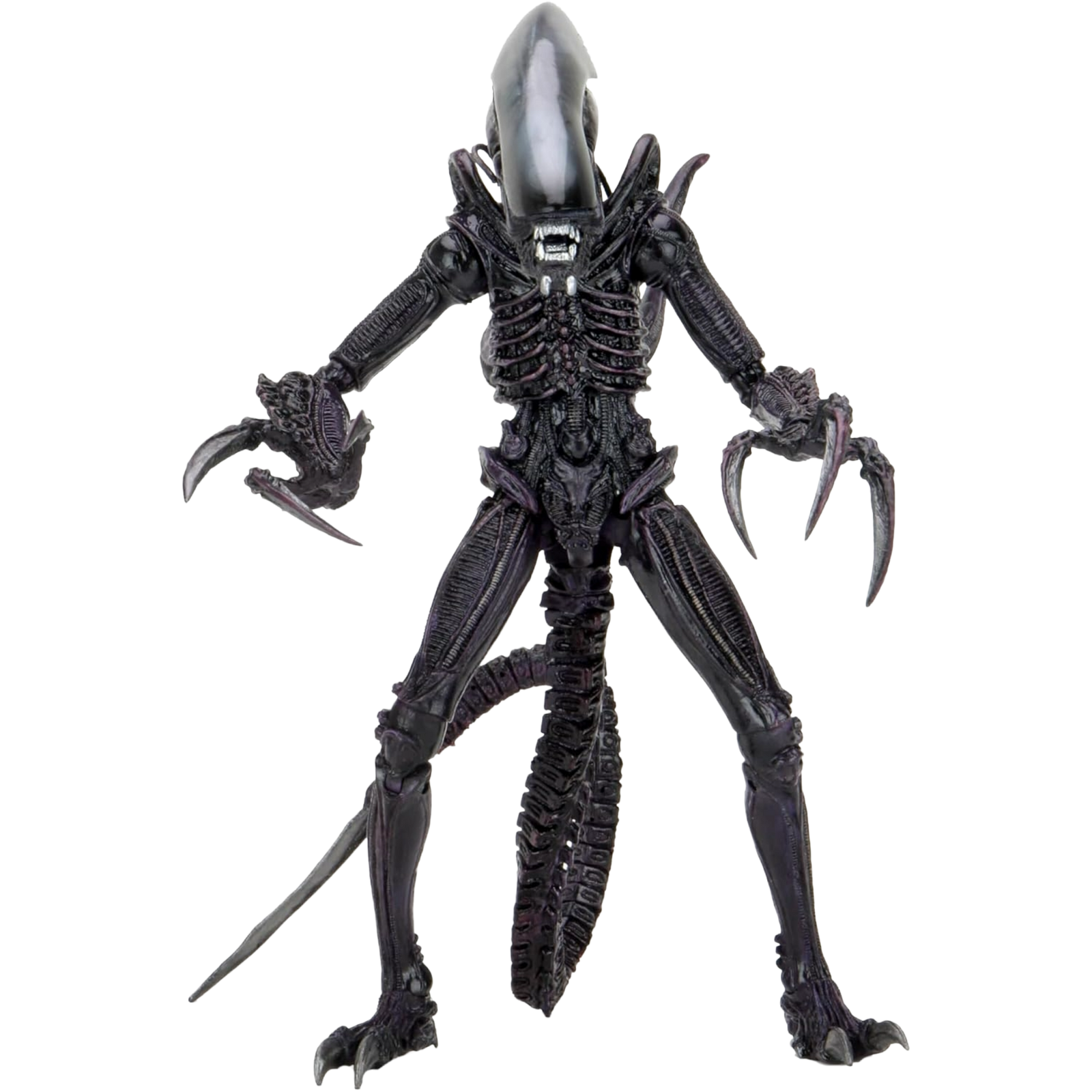 NECA Ultimate: Aliens - Razor Claws Alien