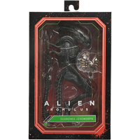 NECA Ultimate: Alien Romulus - Scorched Xenomorph